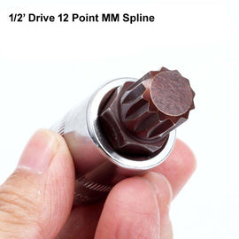 12 Point MM Spline Socket Bit M14